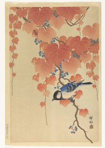 Talgoxe på paulownia gren av Ohara Koson