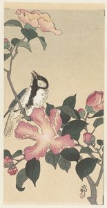 Talgoxe på gren med rosa blommor av Ohara Koson