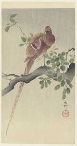 coperfazant av Ohara Koson