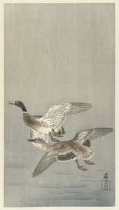 Para ankor av Ohara Koson