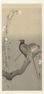Ett par fasaner och körsbärsblommor av Ohara Koson