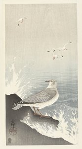 Mås på sten av Ohara Koson