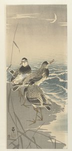 Sandsnäppor på sickle moon av Ohara Koson