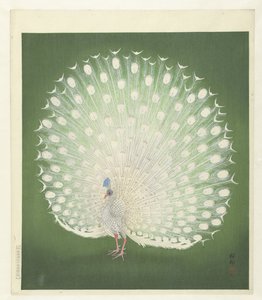 Påfågel av Ohara Koson