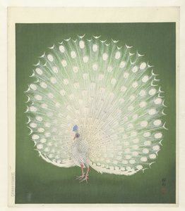 Påfågel av Ohara Koson