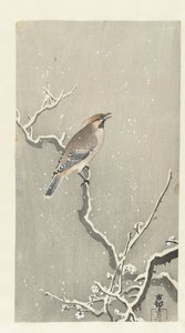 Vaxvinge på snöig gren av Ohara Koson