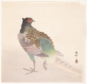 Fasan (träblock i färg) av Ohara Koson