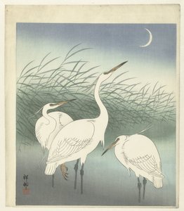 Häger på grunt vatten av Ohara Koson