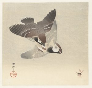 Ringsparvar och insekter av Ohara Koson