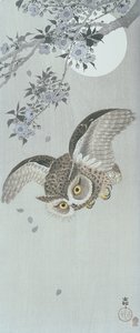 Skopa uggla under flygning med blomning och fullmåne (träblockstryck i färg) av Ohara Koson