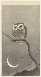 Scops uggla på en gren med halvmåne av Ohara Koson