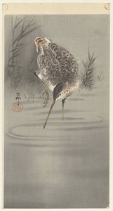 Slipa i vatten av Ohara Koson