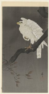 Snöörn på en gren av Ohara Koson