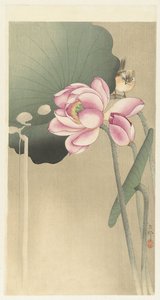 Songbird och Lotus av Ohara Koson