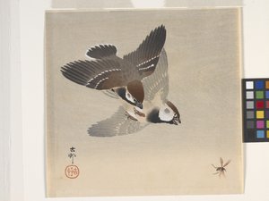 Sparrows Chasing Flying Insect (trätryck i färg) av Ohara Koson