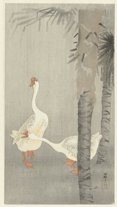 Tamme överallt i regn av Ohara Koson