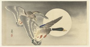 Två ankor vid fullmåne av Ohara Koson
