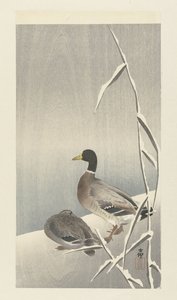 Två ankor på snöig vass över av Ohara Koson