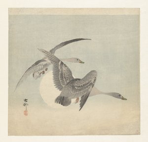 Två visgäss på flykt av Ohara Koson