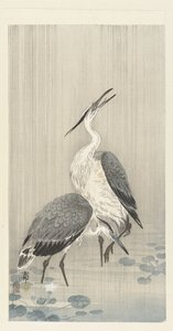 Två hägrar i regnet av Ohara Koson