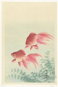 Två slöjsvans guldfiskar av Ohara Koson