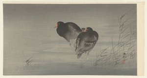 Två Morhöns av Ohara Koson