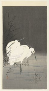 Två hägrar i vassen av Ohara Koson