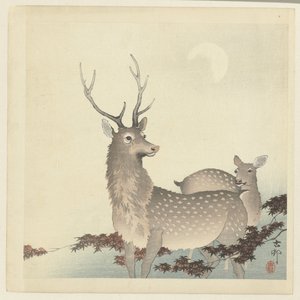 Två rådjur av Ohara Koson