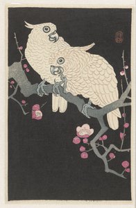 Två kakaduor och plommonblommor av Ohara Koson