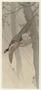 flygfasan av Ohara Koson