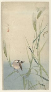 Fågel och fjäril av Ohara Koson