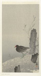 Waterhoen av Ohara Koson