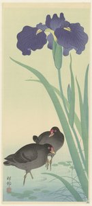 Morhöns och iris. av Ohara Koson