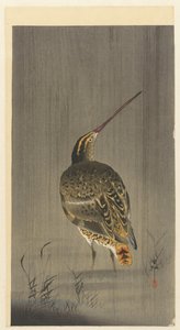 Snipe i regnet av Ohara Koson