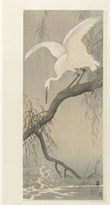 Vit häger på trädgren av Ohara Koson