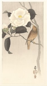 Sångfågel och blommande kamelia av Ohara Koson