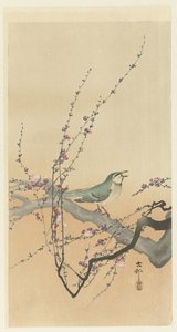 Sångfågel och plommon blommar. av Ohara Koson