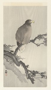 Vit skallig örn på gren av Ohara Koson