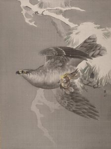 Hawk som håller en liten fågel, ca. 1891-92. av Okada Baison