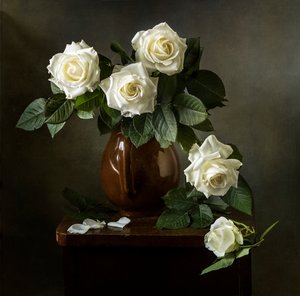 Eleganta vita rosor