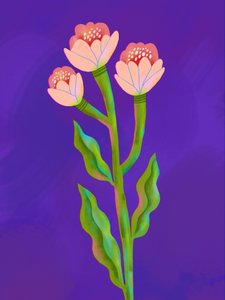 Ett färgsprakande blomstertrio av Olga Skomorokhova
