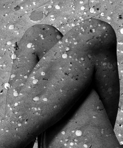 Shell legs, 2019 (digital mixedmedia) av Olivia Gozzano