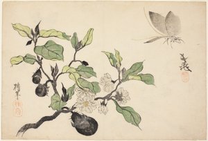 Aubergine med frukt och blommor av Onishi Chinnen