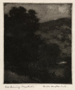 Sen kväll av Orville Houghton Peets