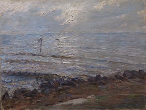 Solljus över havet av Oscar Björck