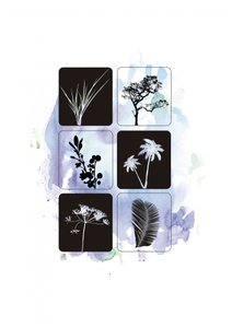 Botaniska silhuetter i akvarell av Osvaldo Russo