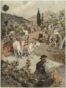 Årgångssäsongen i Italien av Oswaldo Tofani