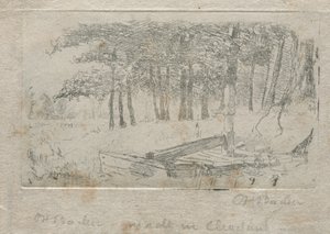 Skiss från naturen av Otto H. Bacher
