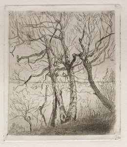 Skogen vid sjön, 1878. av Otto H. Bacher