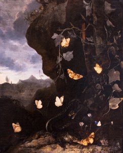 Ormar, paddor och fjärilar av Otto Marseus van Schrieck